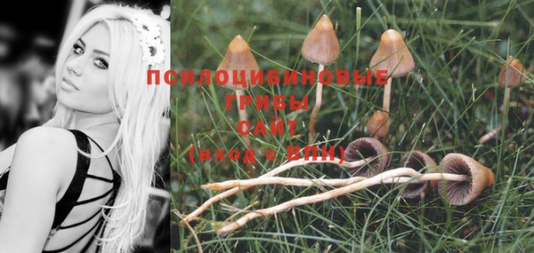 MESCALINE Вязники
