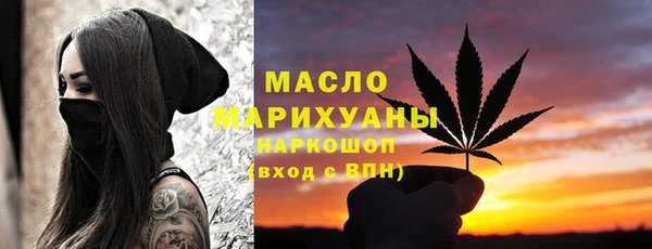 индика Вязьма