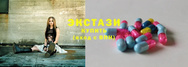 индика Вязьма