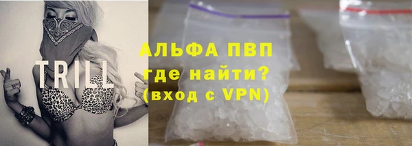 индика Вязьма