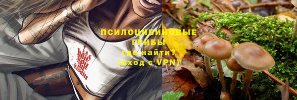 индика Вязьма
