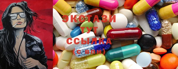 индика Вязьма
