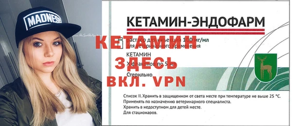 индика Вязьма