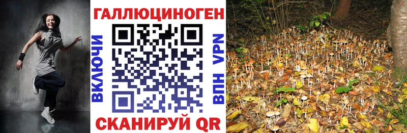 Псилоцибиновые грибы прущие грибы  Волжский 