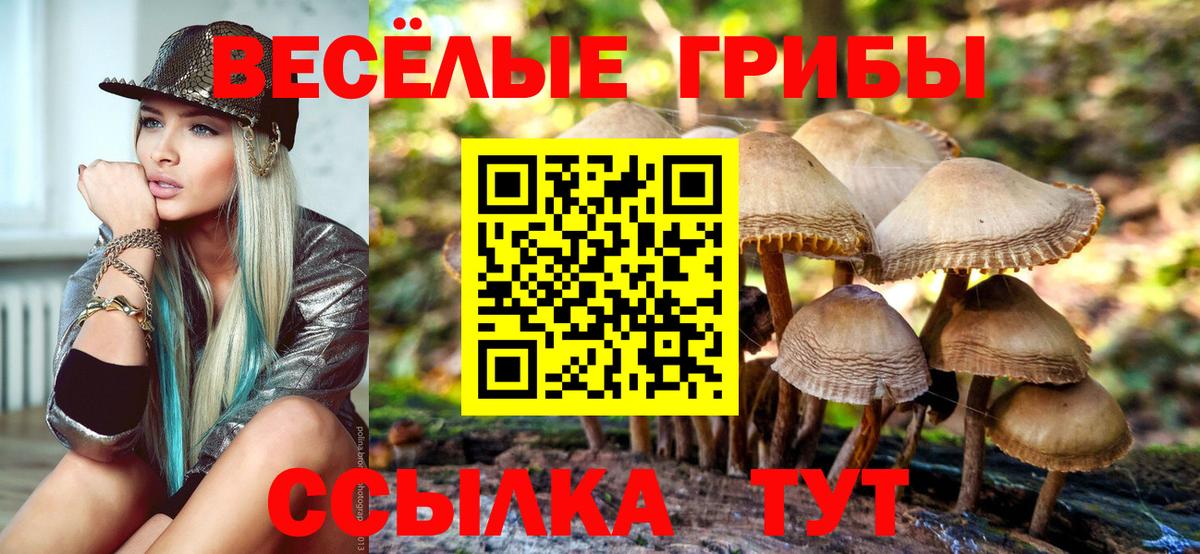 Волжский  Галлюциногенные грибы Magic Shrooms  Вход с VPN 